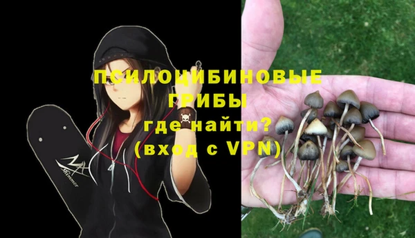 spice Белокуриха