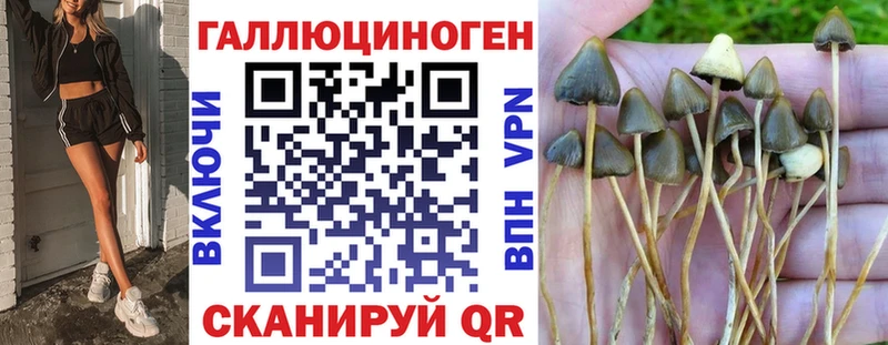 Псилоцибиновые грибы Psilocybine cubensis Реутов